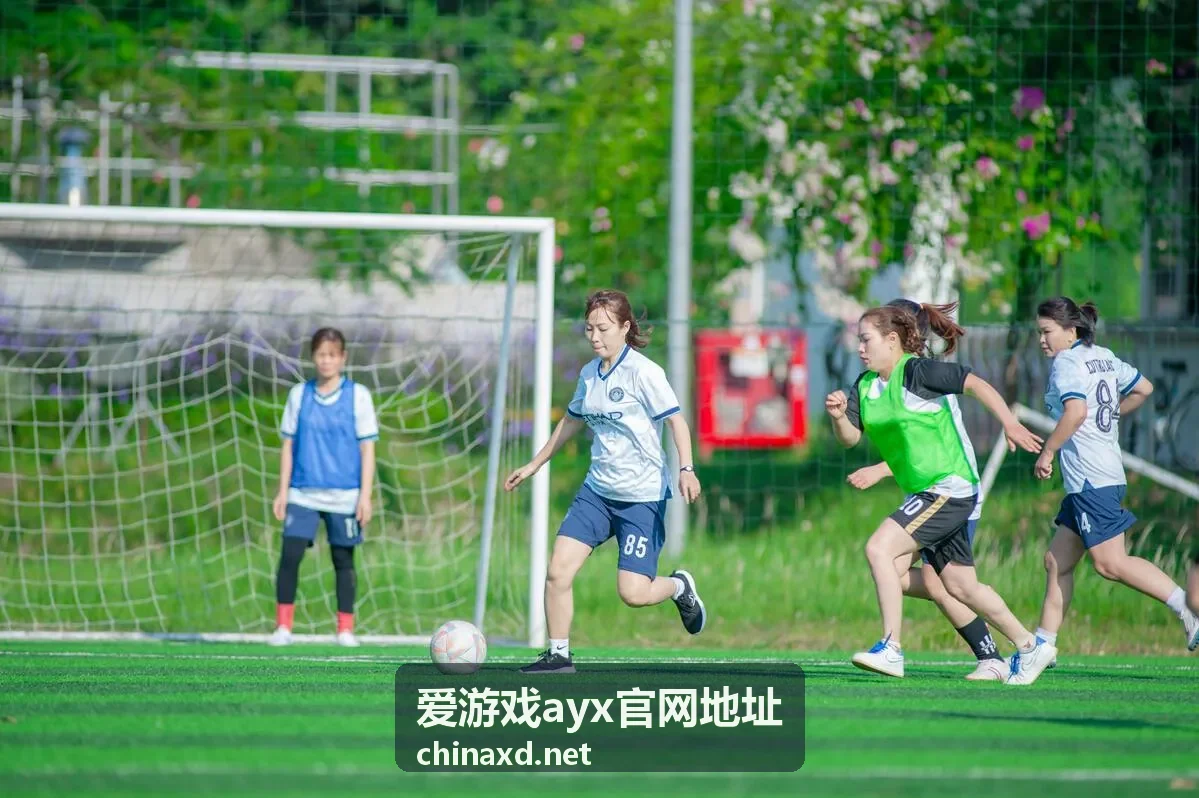 爱游戏ayx官网地址 账号安全设置配图