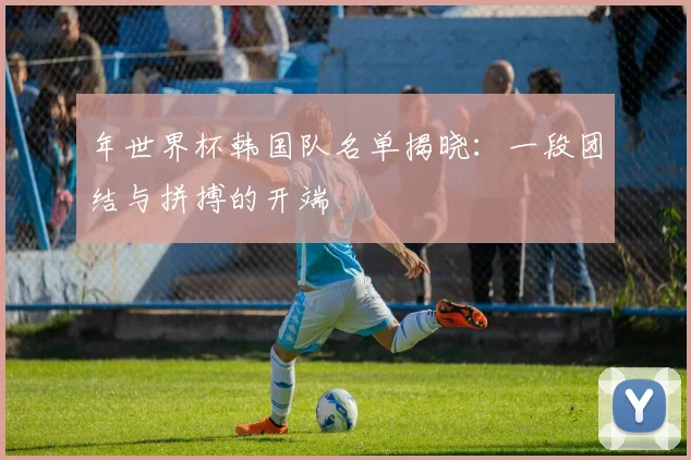 年世界杯韩国队名单揭晓：一段团结与拼搏的开端