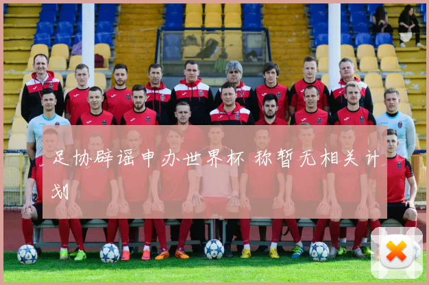 足协辟谣申办世界杯 称暂无相关计划