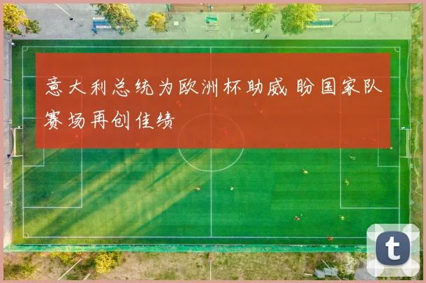 意大利总统为欧洲杯助威 盼国家队赛场再创佳绩
